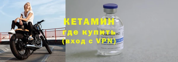 крисы Корсаков