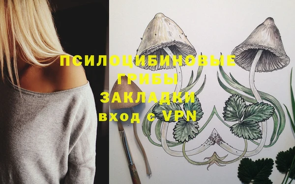 метадон Ладушкин