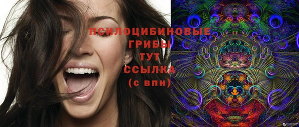 трава Лабытнанги
