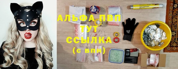 прущий лед Лагань