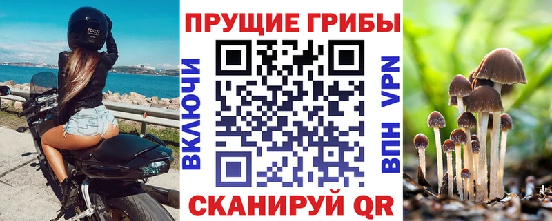 Галлюциногенные грибы мухоморы  Елец 