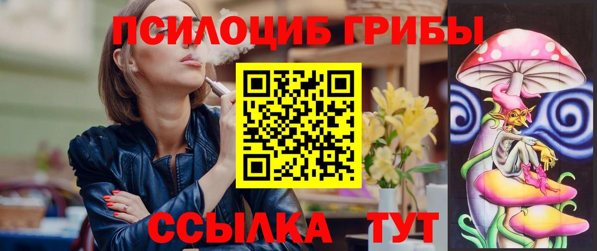 Елец  Псилоцибиновые грибы GOLDEN TEACHER  Вход с VPN 